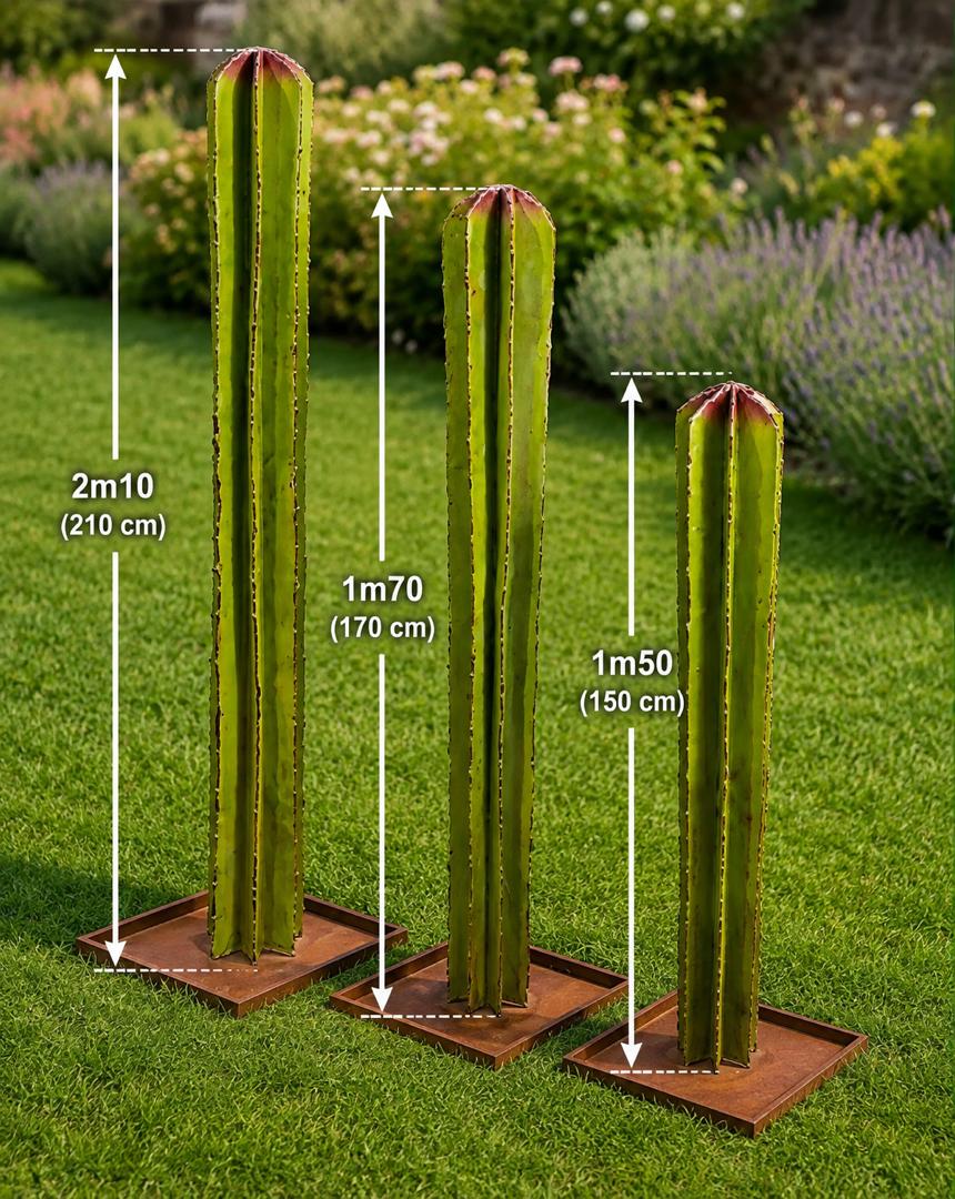 Cactus cierges — Trois formats